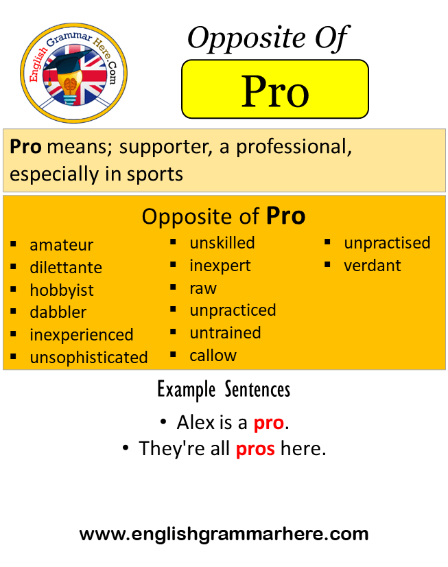 antonyms of professional