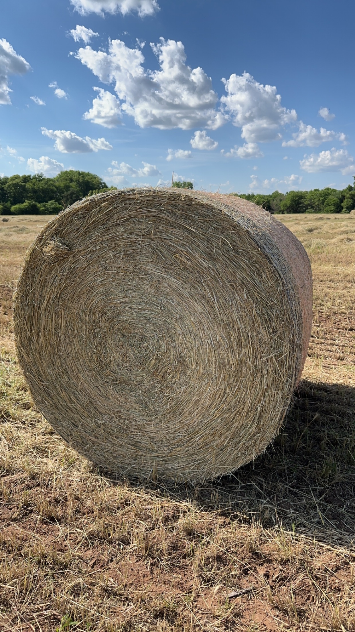 hay for sale near me