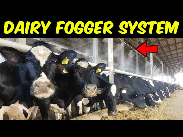 fogger system for dairy farm prices