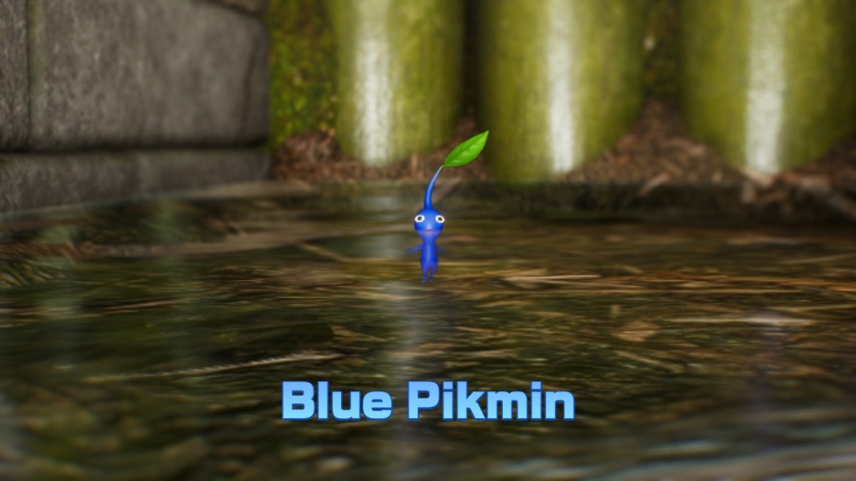 pikmin 4 blue onion stuck in water