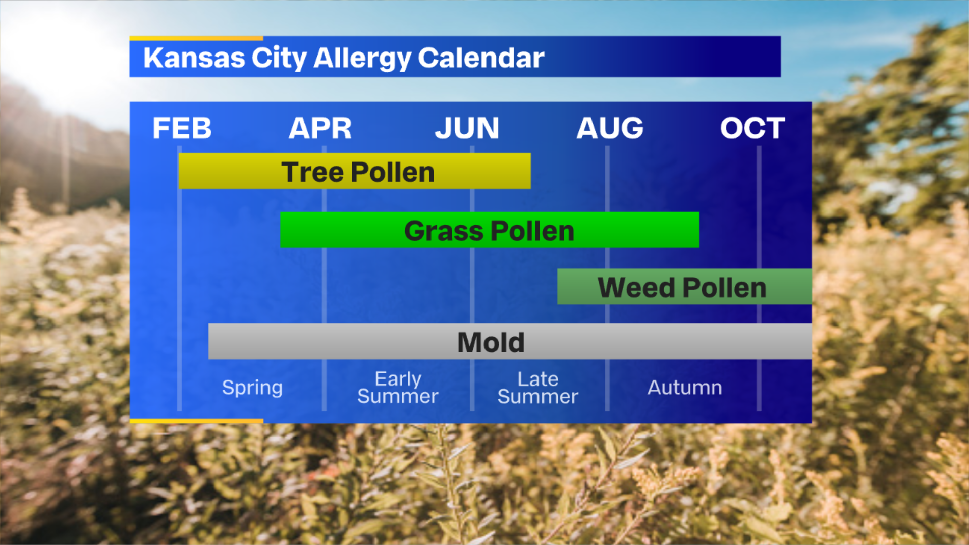 what pollen is in the air today