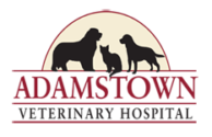 adamstown animal hospital