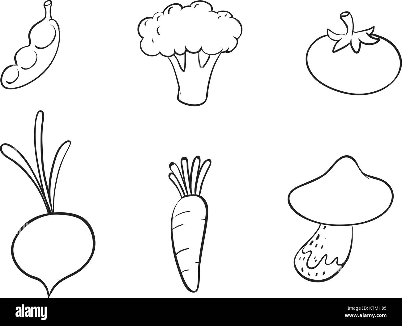 vegetable sketch images