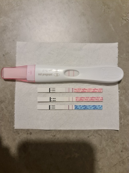 11 dpo