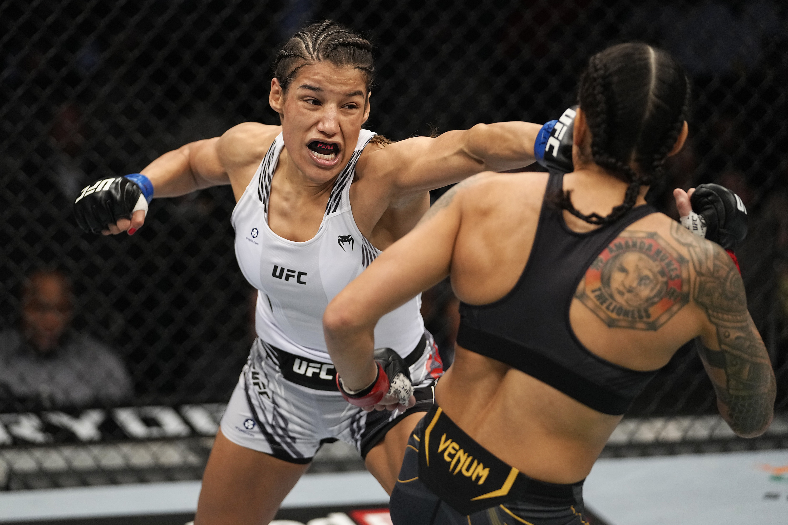 julianna pena vs amanda nunes