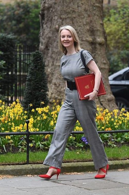 liz truss tits