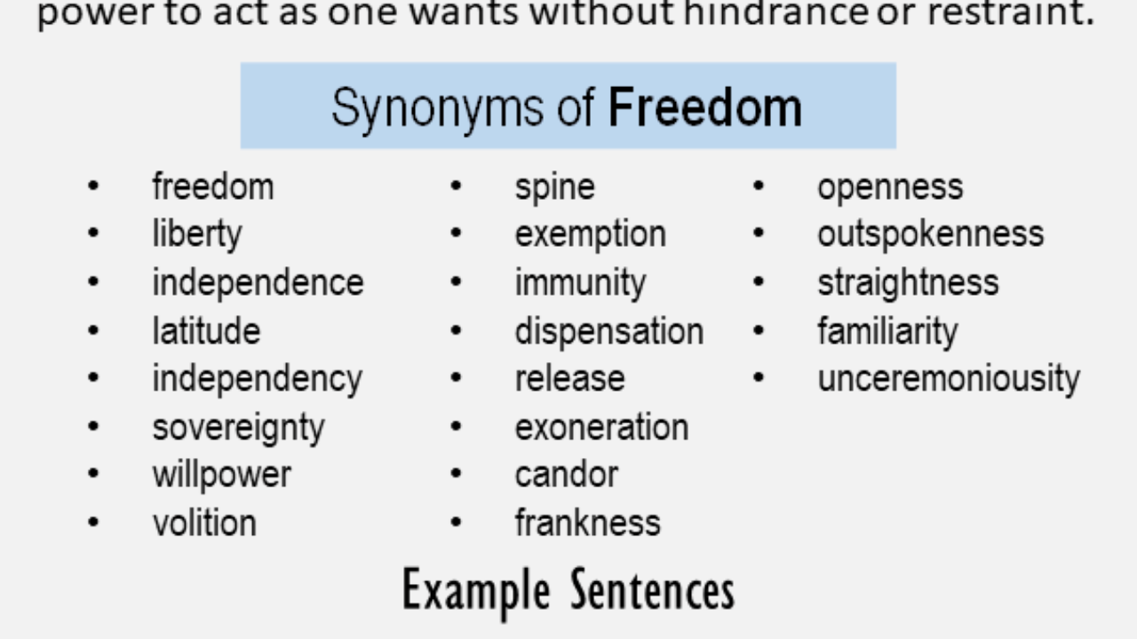 synonym freedom