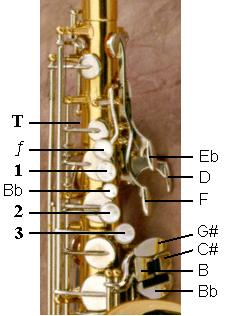 alto sax buttons