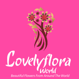 promo code lovely flora world