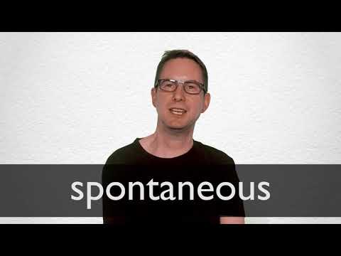 spontaneous synonyms