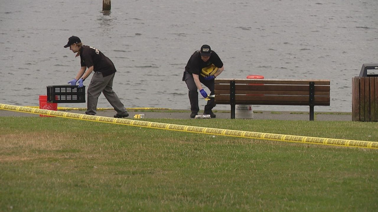 houghton beach park shooting