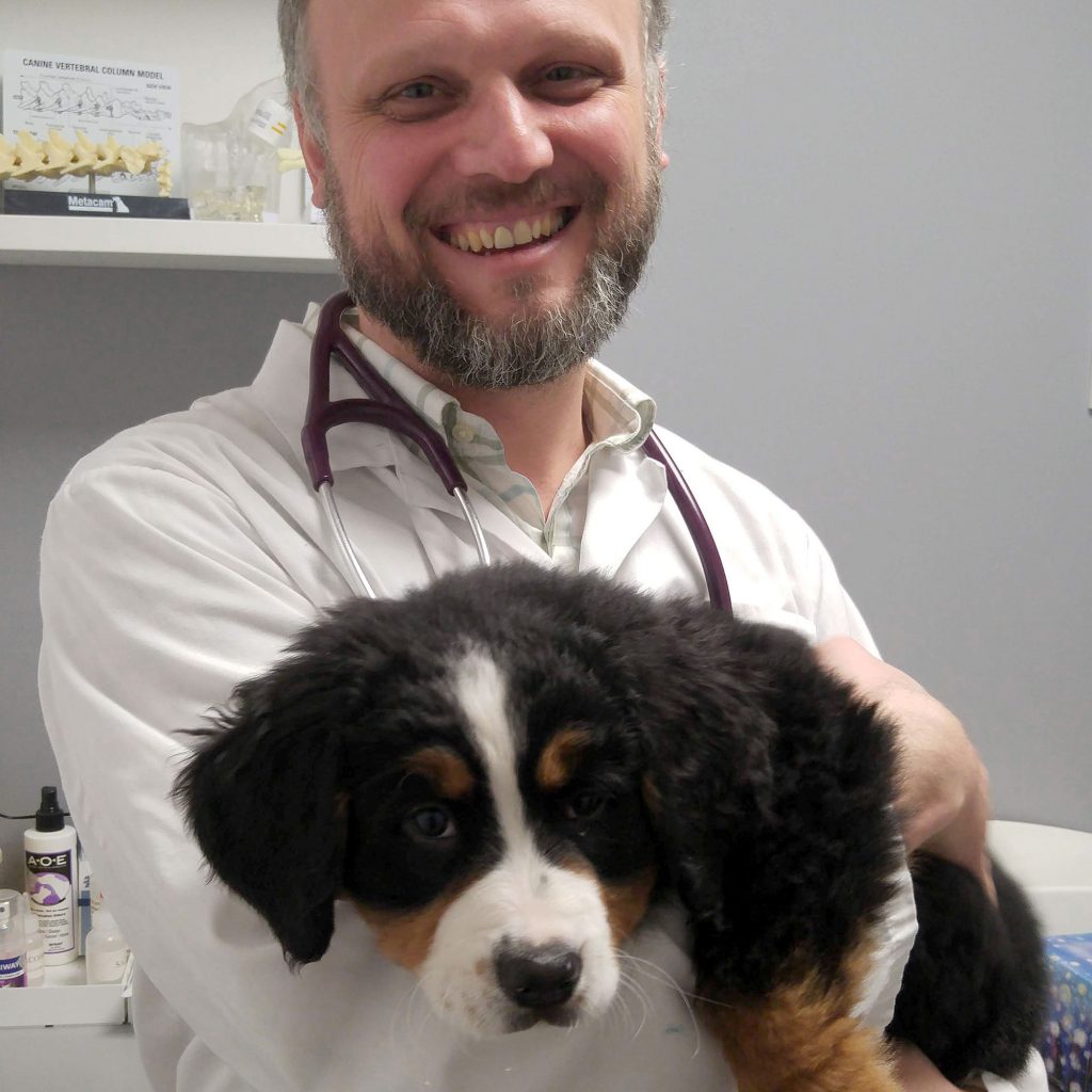 pet hospital coquitlam