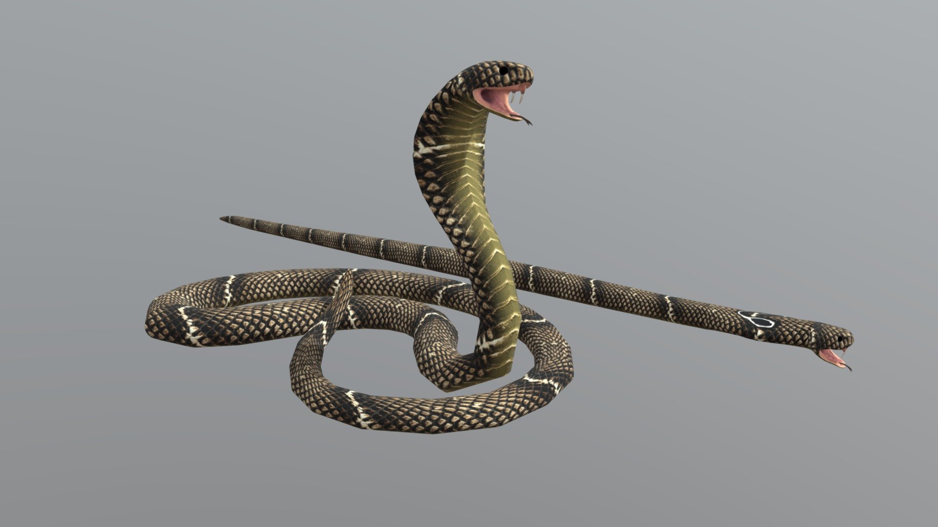 blender snake model free download