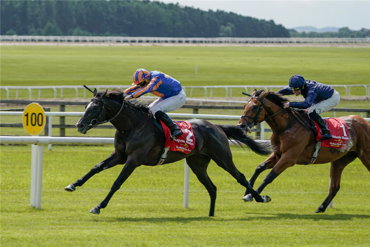 english and irish horse racing results