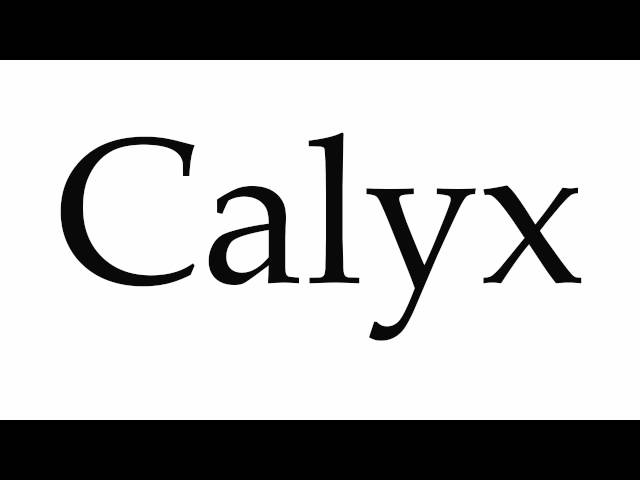 how to pronounce calyx