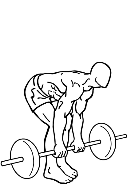 deadlift wiki