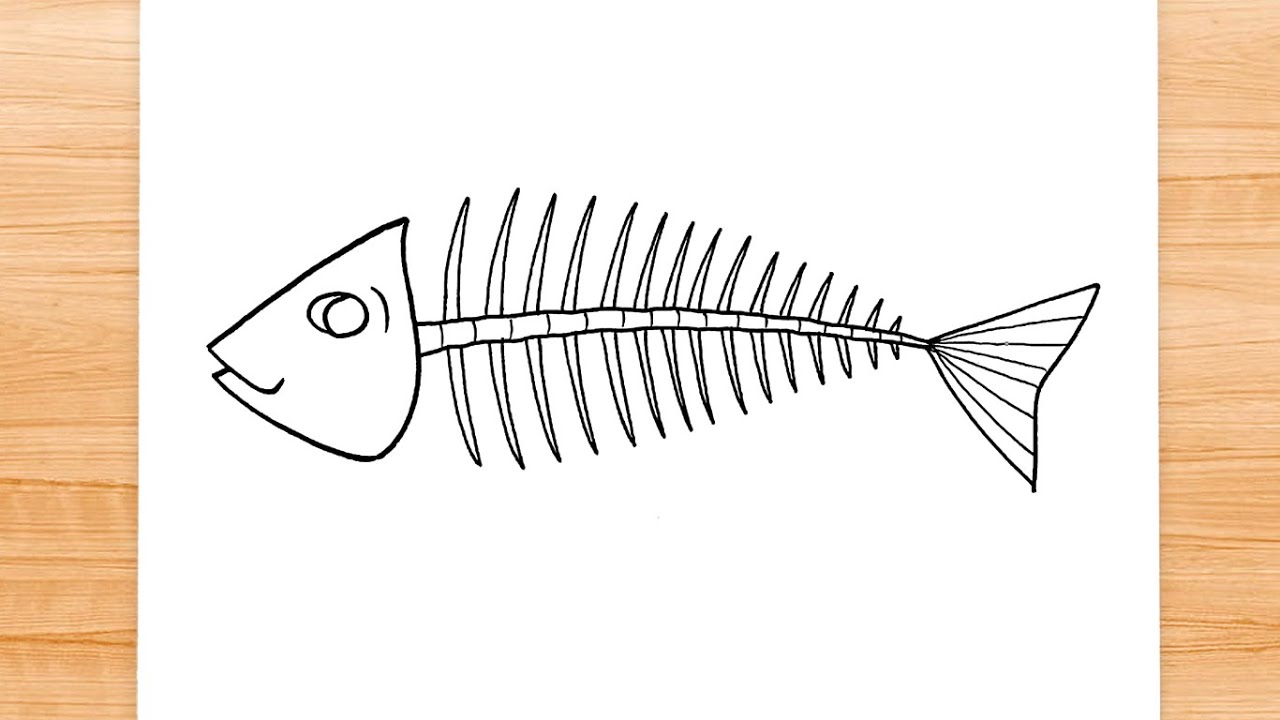 fish skeleton drawing