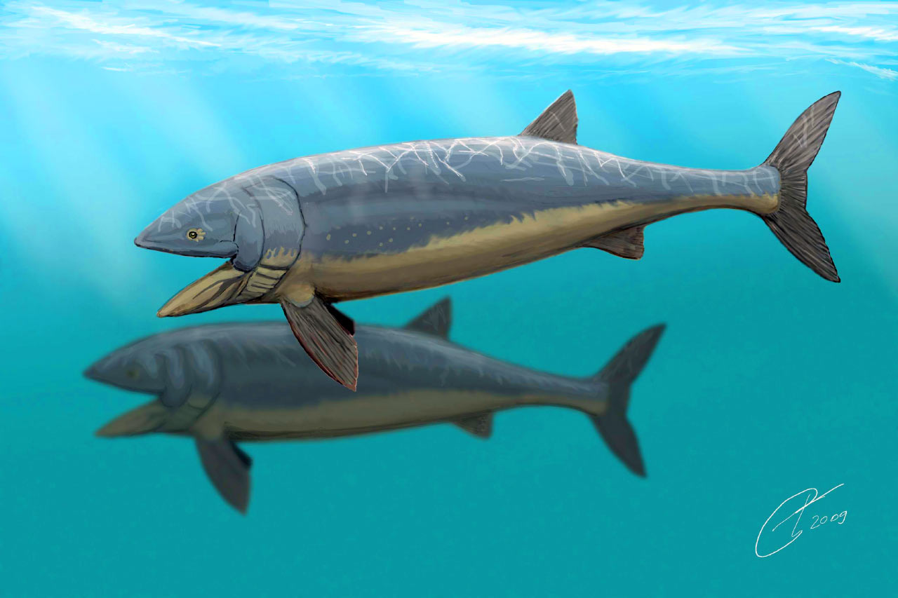 leedsichthys