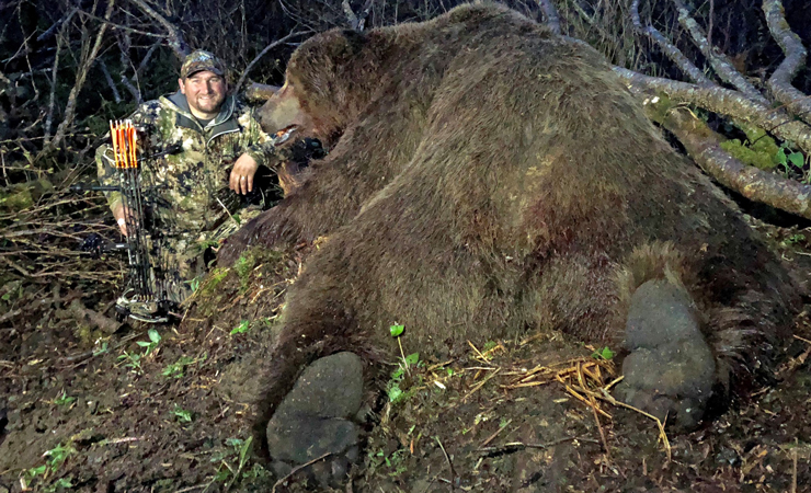 largest kodiak bear ever recorded