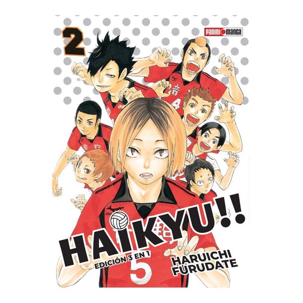 haikyuu panini