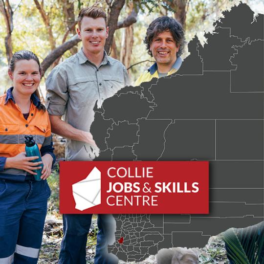 collie jobs