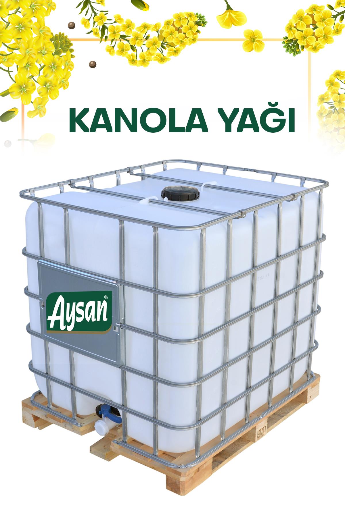 kanola kg fiyatı 2019