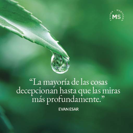 frases desilucion