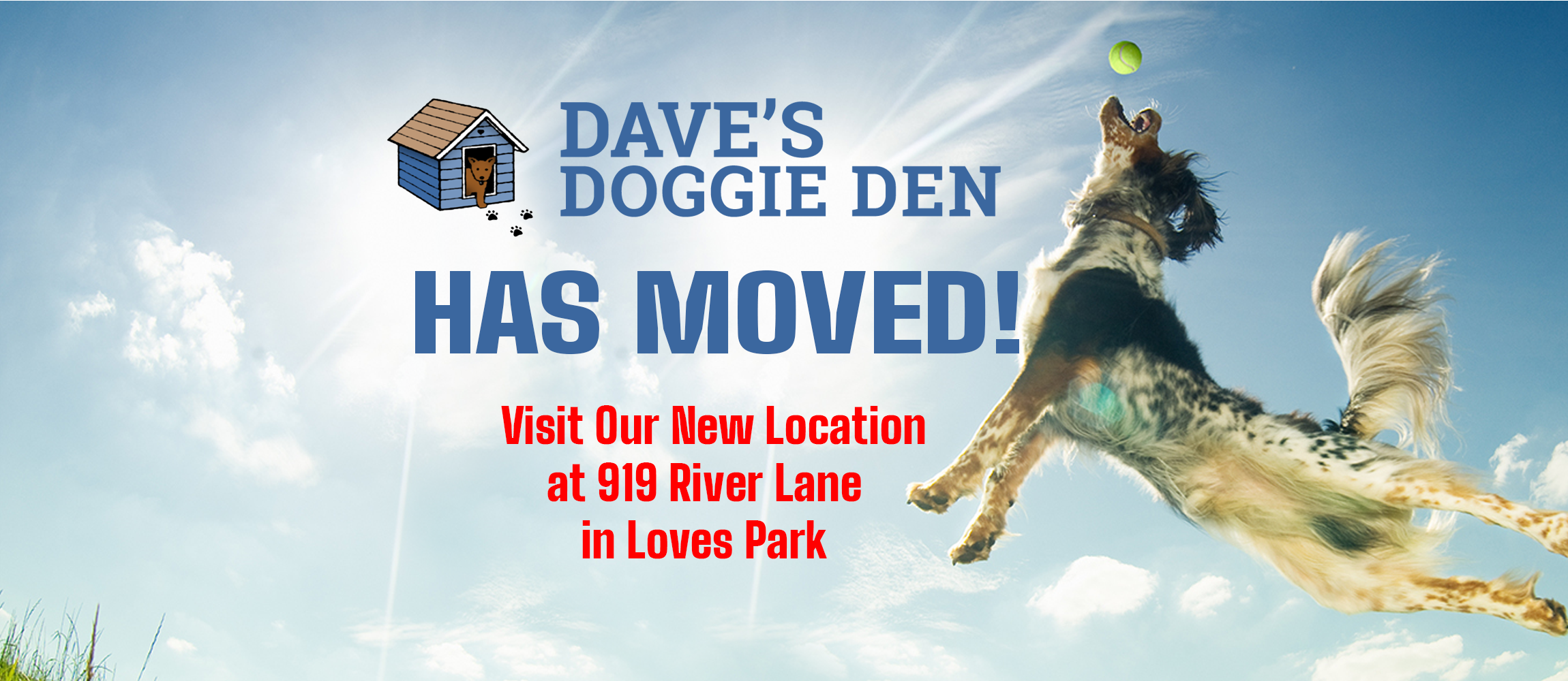 daves doggie den