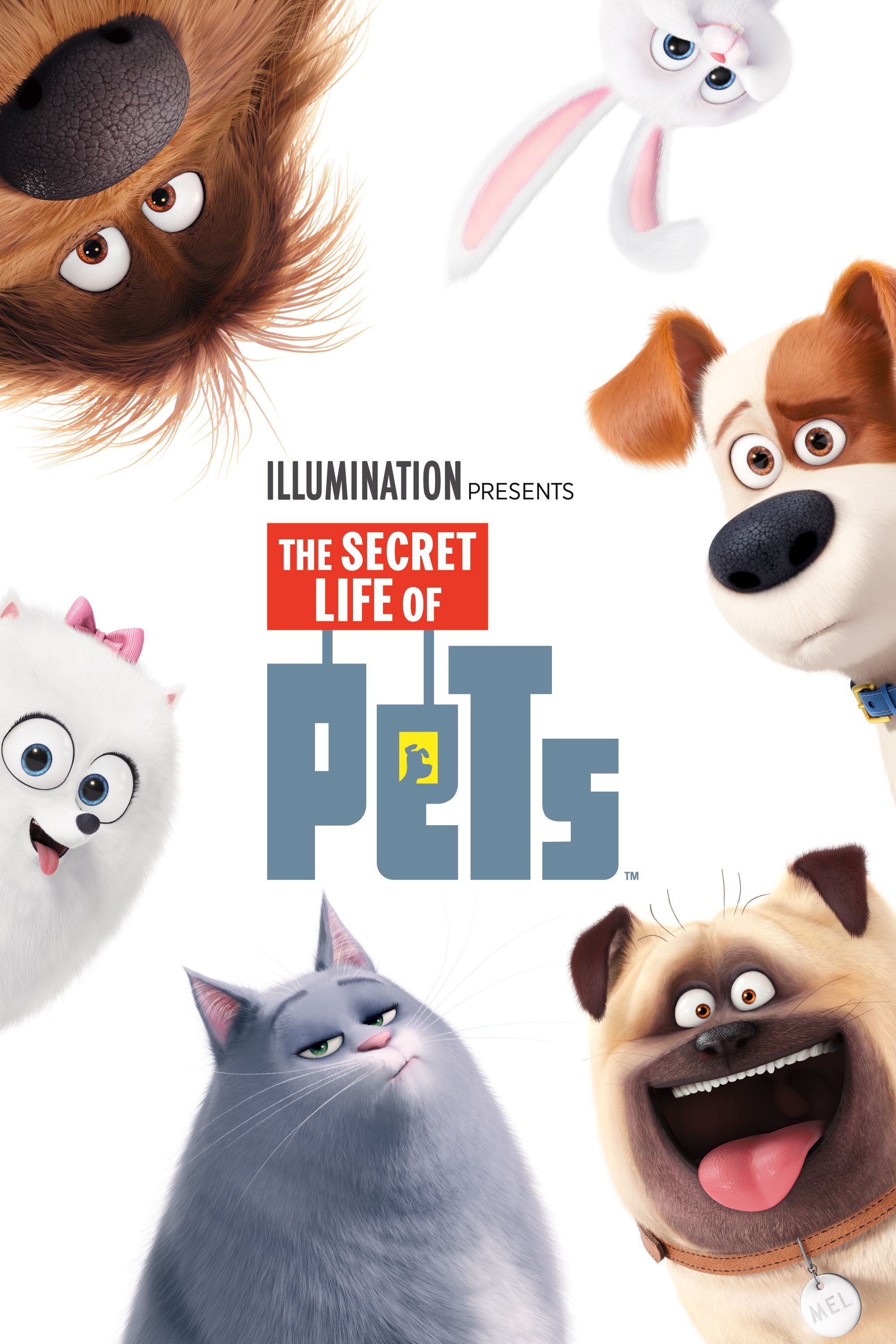 the secret life of pets 2 full movie in hindi