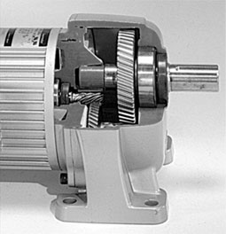 1 2 hp gear motor price