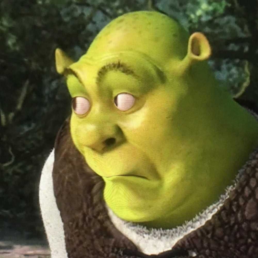 meme shrek face