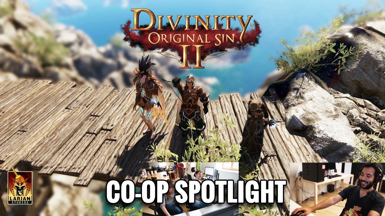 divinity original sin multiplayer