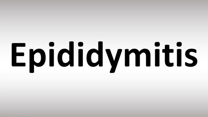 epididymal pronunciation