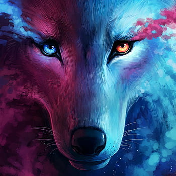 fire and ice wolf wallpaper