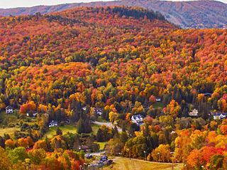 yellow st sauveur