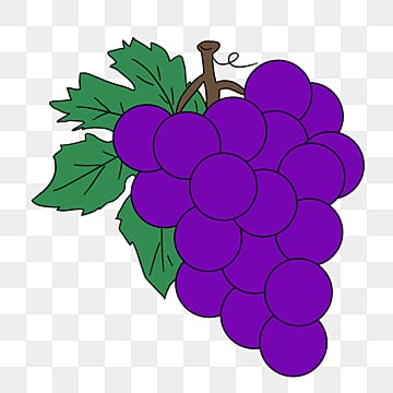 clip art grapes