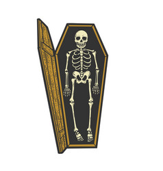 skeleton in coffin drawing