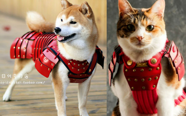 samurai age dog armor