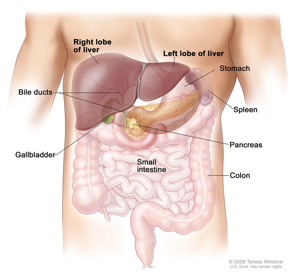 ache below ribs right side