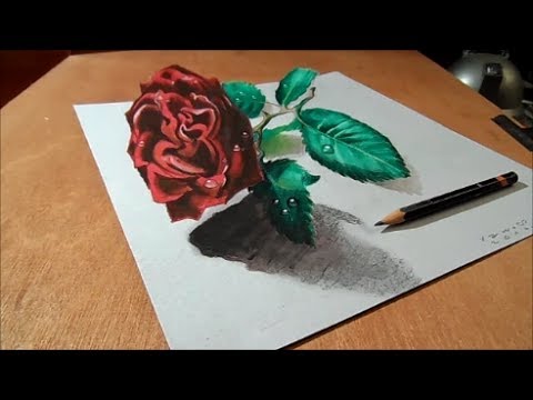 3d rose drawing