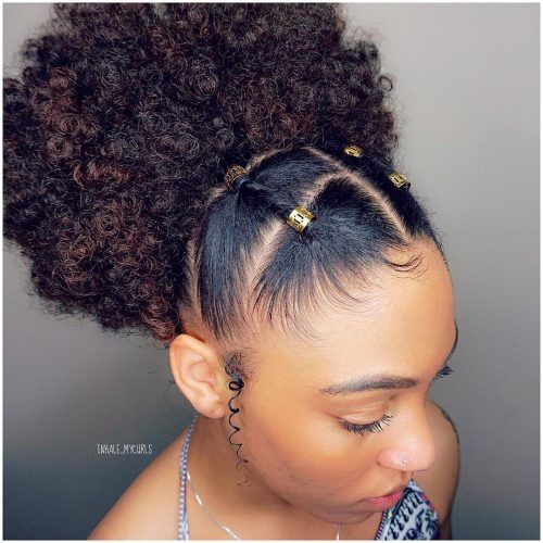 african natural hair styles for ladies