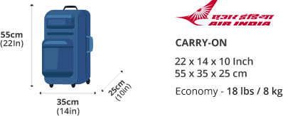 air india international flight baggage