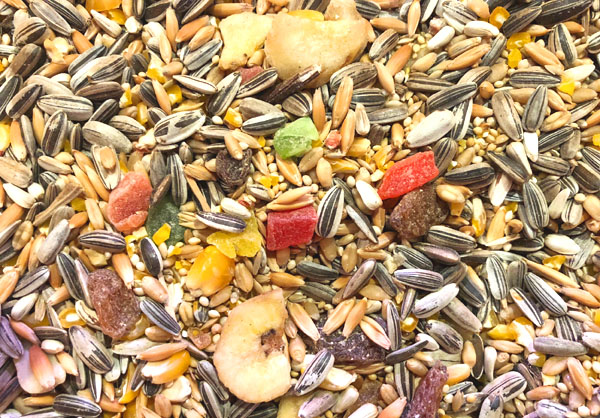 alexandrine parrot seed mix