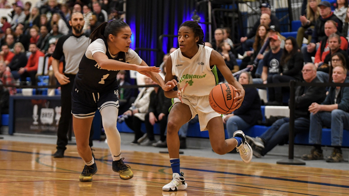 algonquin wolves basketball