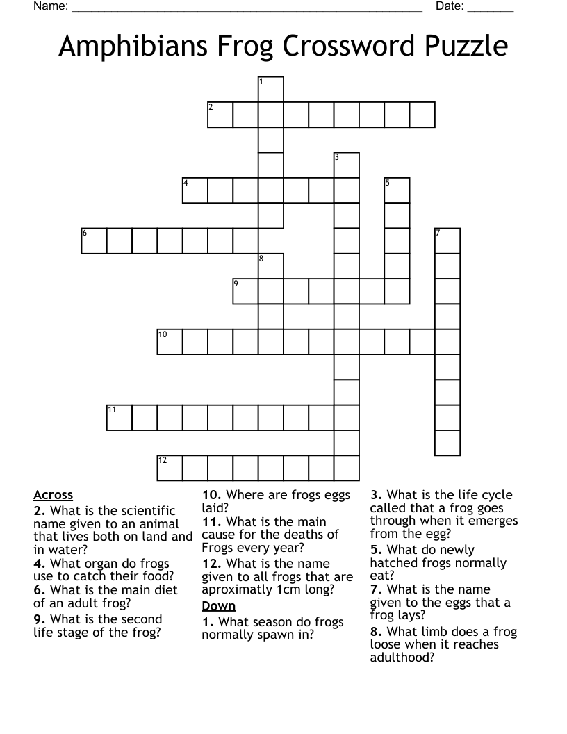 amphibian crossword clue