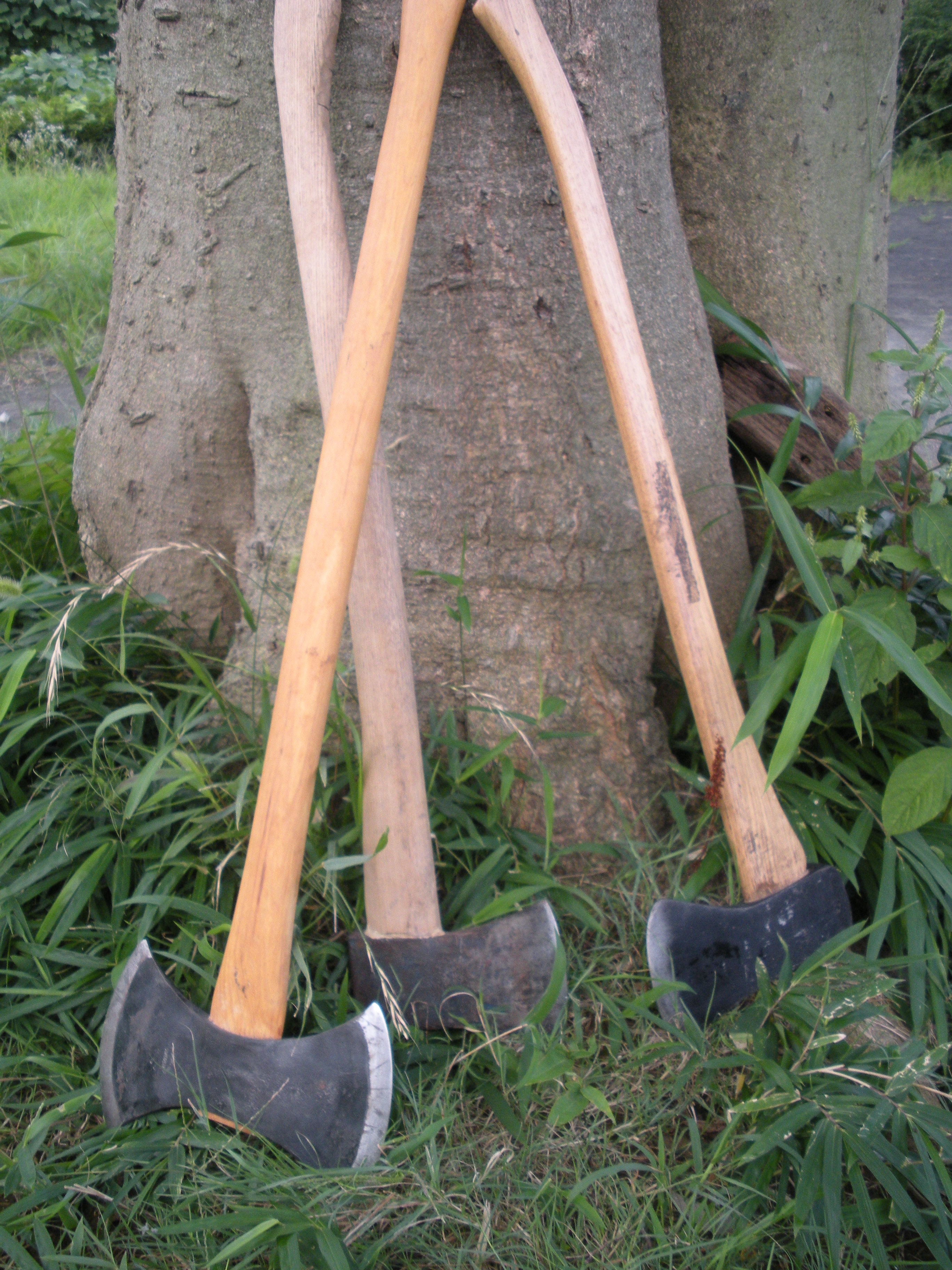 an axe to grind meaning in marathi