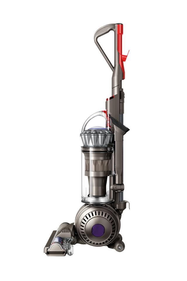 animal dyson vacuum