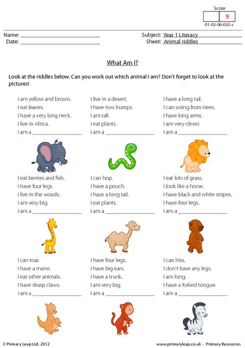 animal riddles worksheet with answers