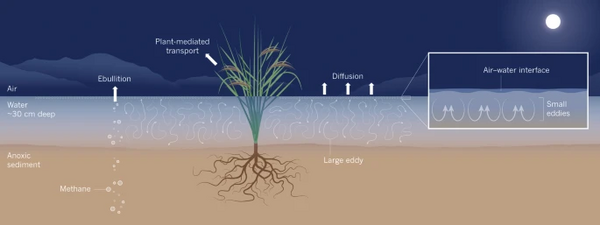 another name for marsh gas