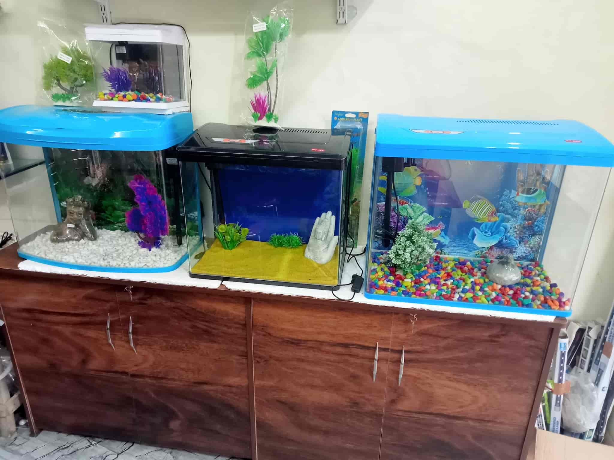 aquarium makers near me